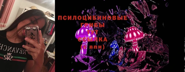 крисы Ачинск