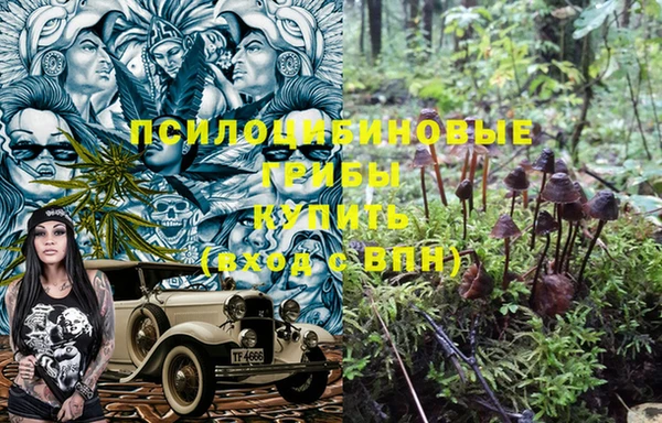 ALPHA PVP Медногорск