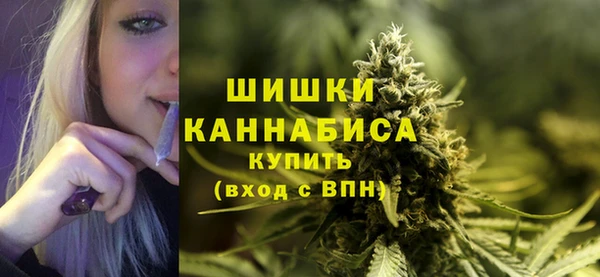 бошки Аркадак
